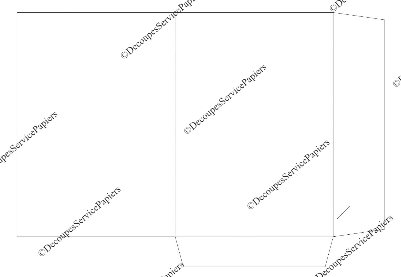 CHEMISE F 215 X 305 O 500 X 346 fente.jpeg